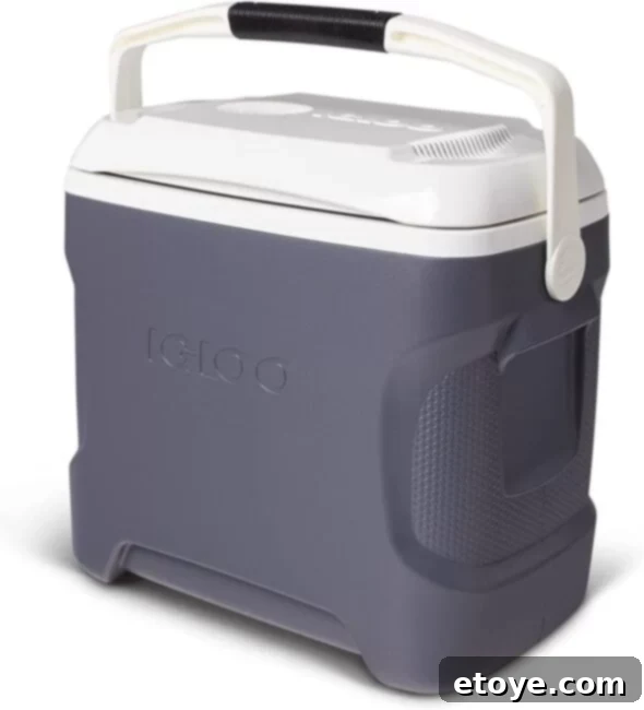 The Igloo Iceless Thermoelectric Cooler packed with various snacks and beverages, demonstrating its full capacity.