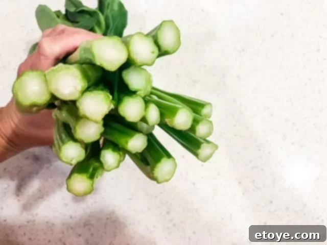 Fresh Chinese Broccoli (Gai Lan) stalks with vibrant green leaves and tight buds.