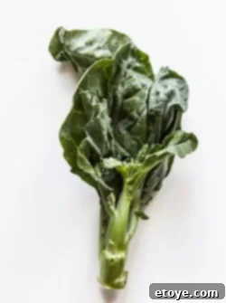 Close-up photo of fresh Chinese Broccoli (Gai Lan) showing leaves and tight flower buds.