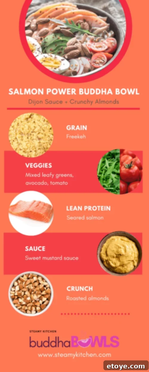 Sweet Mustard Salmon Open Sandwich 3 Colorful Salmon Avocado Power Buddha Bowl with mixed greens, grains, and fresh vegetables.