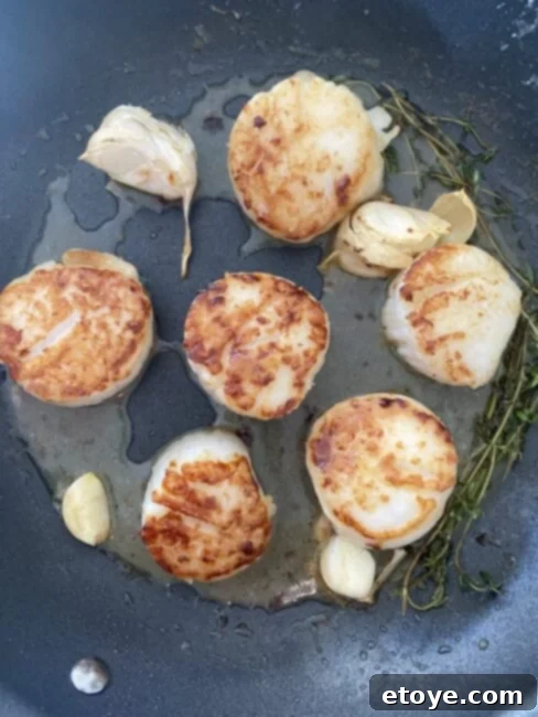 Hestan Cue Review: Enter to Win! 3 Fool-proof scallops using Hestan Cue Connected Cookware