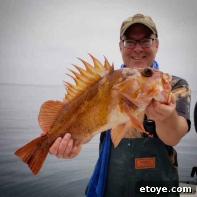 The Ultimate Crab Fried Rice Recipe and Giveaway 2 Delicious Crab Fried Rice with pineapple chunks, fresh cilantro, and scrambled egg, ready to be served