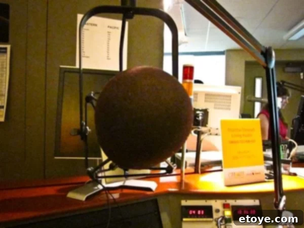 The Master Plan 16 A large, professional radio microphone in a studio setting