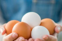 Paying Closer Attention to My Food’s Journey