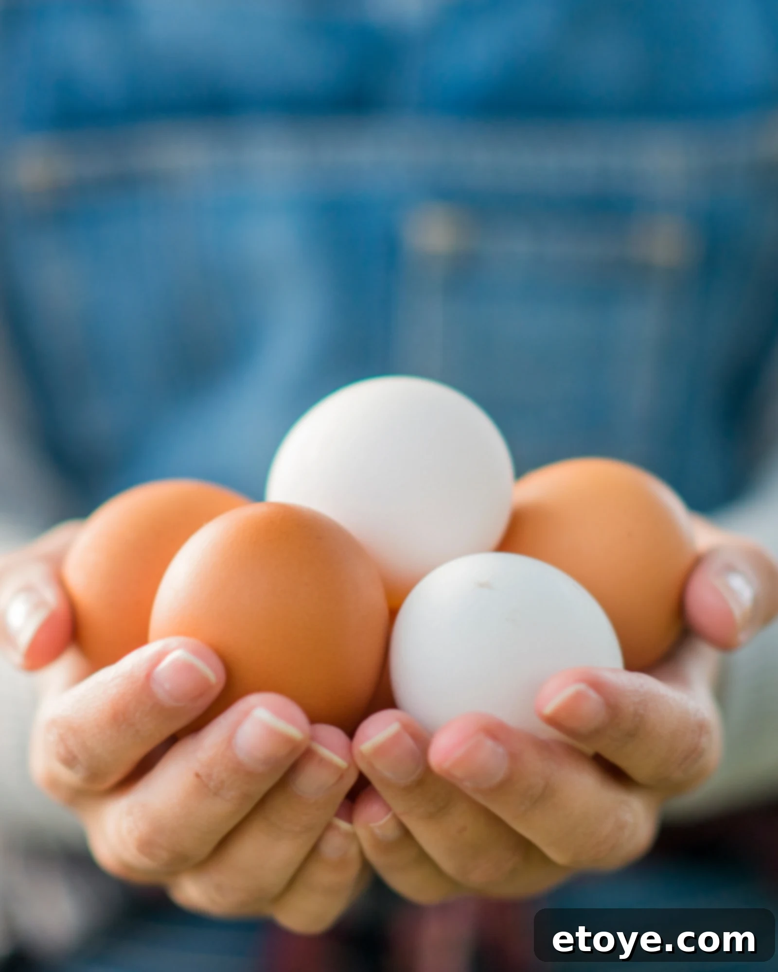 Paying Closer Attention to My Food's Journey 1 featured 254663