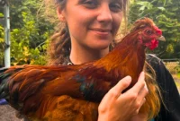 Unlocking Freedom: The Sustainable Path Inspired by JungleFairyFarm