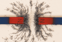 Is Your Passion Project Fizzling? Unlock Its Potential with Polarity