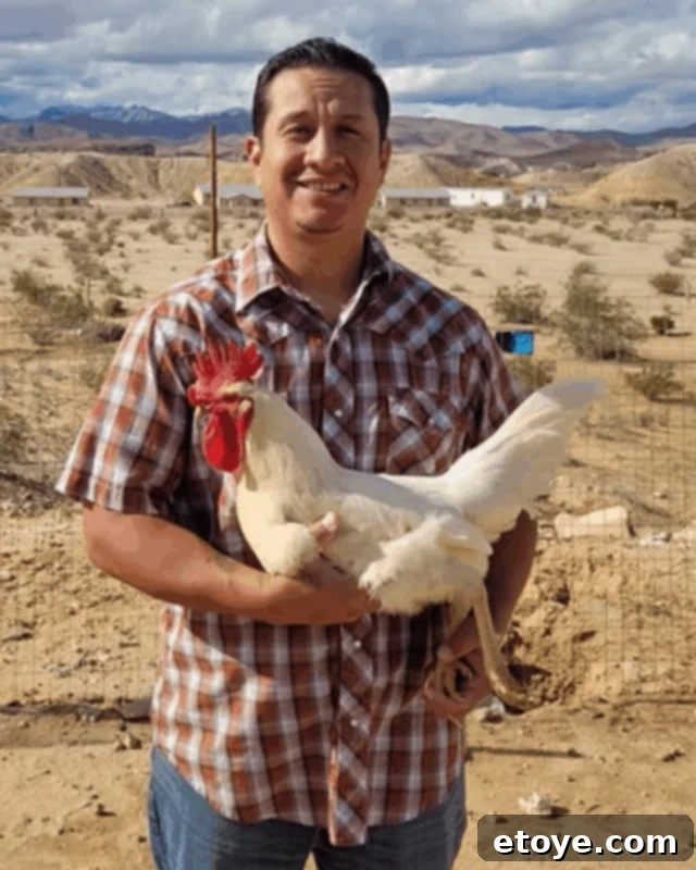 Where to Find the Best Locally Sourced Chicken in Las Vegas 2 Josh & Sons Farm
