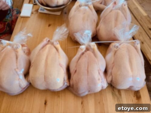 Where to Find the Best Locally Sourced Chicken in Las Vegas 3 Josh & Sons Farm fresh chickens
