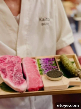 Kaito Sushi Jukusei - Dry-aged Salmon